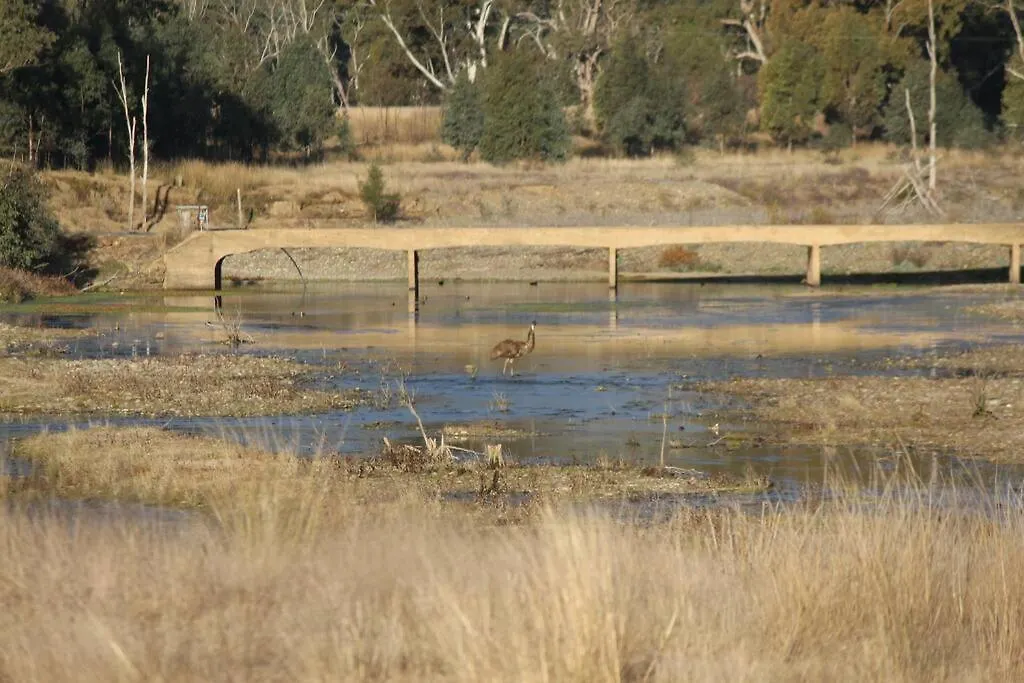 Glenlyon Dam Holiday Cottage & Farmstay Stanthorpe Guest house