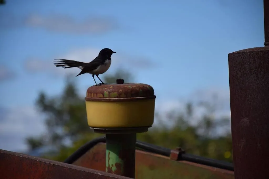 Glenlyon Dam Holiday Cottage & Farmstay Stanthorpe