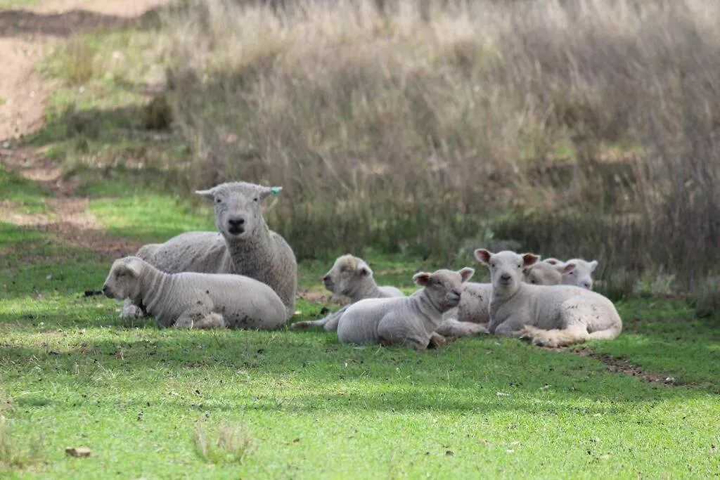Guest house Glenlyon Dam Holiday Cottage & Farmstay Stanthorpe